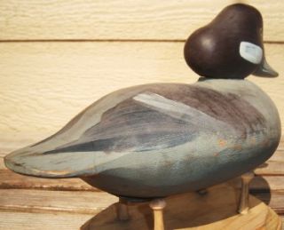 c1990 Art Boxleitner Hen Bufflehead Wood Duck Decoy; Havre de Grace 