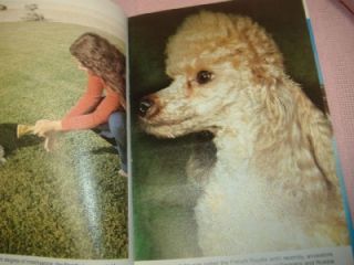 1979 Poodles Kerry Donnelly Dog Show Breeding Care Book