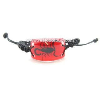  Real Black Scorpion Bracelet Red Background