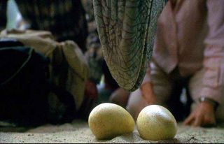 Jurassic Park Prop Raptor Egg Signed Steven Spielberg Blu Ray DVD COA 