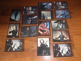 Brandon Lee Card Lot Fifteen Gems All Mint Plus Chase Cards