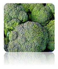 broccoli seeds waltham 29 broccoli waltham 100 seeds