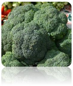 crops that are frost resistant broccoli seeds early fall rapini 100 