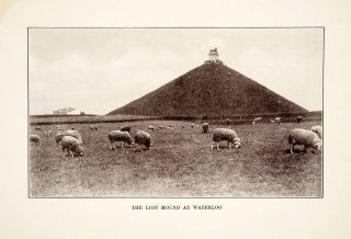 1912 Print Butte Du Lion Mound Memorial Statue Sheep Waterloo Battle 