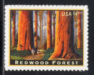 Scott 4378 Redwood Forest $4 95 Priority Mail Stamp