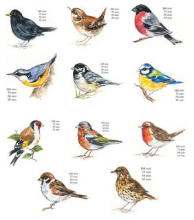  Bird Select Breed Size Waterslide Ceramic Decals