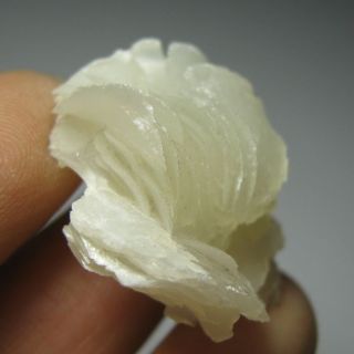White Curved Lamellate Calcite Crystal Specimen CAH99IF0539