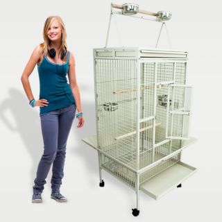   Bird Large White Cockatiel Parakeet Finch Cage Playtop Gym Perch Stand
