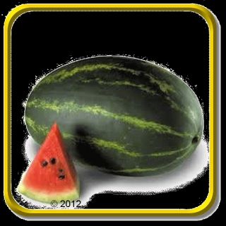 Oz   Watermelon Seeds   Cal Sweet Supreme Bulk Vegetable Seeds