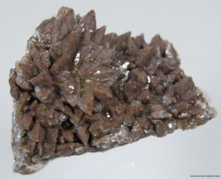 dogtooth calcite mineral specimen mexico fluorescent