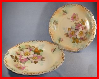 Vintage Porcelain Serving Bowl Plate Set Cico China Made in Germany US 