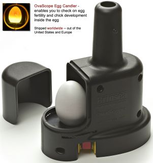 Ovascope Egg Candler Allows You to View Embryo Development Inside The 