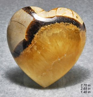Septarian Calcite Heart Utah Minerals Crystals Gems Rocks Gemstones 