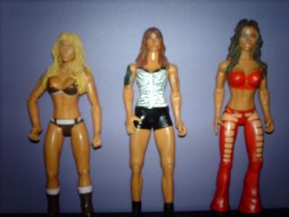 WWE Divas Figures Lita Candice Michelle Torrie Wilson