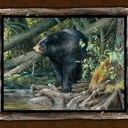 Black Bear Quilt Panel Fabric Blackfoot Canyon Collection