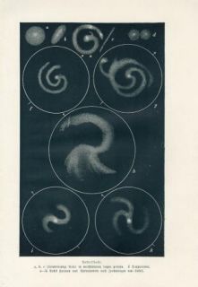 1890 Nebulas Astronomy Antique Lithograph Print C Sterne