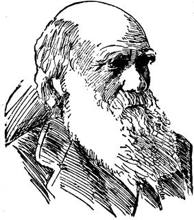 1871 Charles Darwin 1st US 1st Descent of Man Appleton NY Gorgeous 