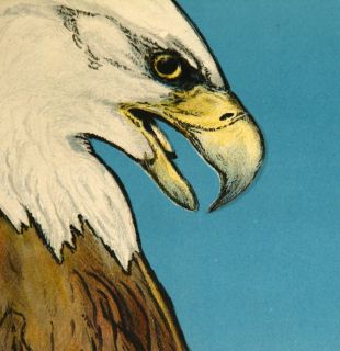 World War I Charles Livingston Bull Poster Biplane Eagle Keep Him Free 