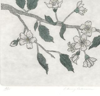Cherry Blossom Tree Flower Botanical Pencil Signed Leo Donanhue 