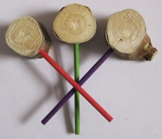   Healthy Treat Premium Organic Mulberry Wood Chew Toy Lollipops