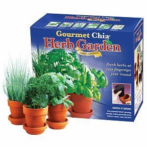 Chia Gourmet Herb Garden Grow Your Own Fresh Herbs Indoors