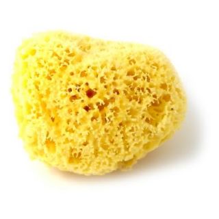   Real Greek Honeycomb Natural Sea Sponge Adult Bath 4 5 5
