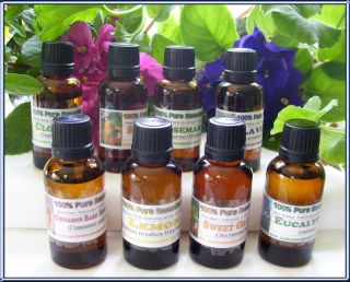  Uncut Therapeutic Natural Plant Aromatherapy Craft 1 oz 30 Ml