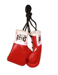 Cleto Reyes Miniature Boxing Gloves
