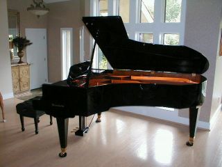 Van Cliburn Pedigree Bosendorfer Model 225 Semi Concert Grand Piano