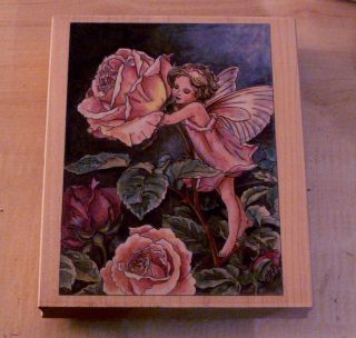 Cicely Mary Barker Rose flower fairies rubber stamp USED ONCE