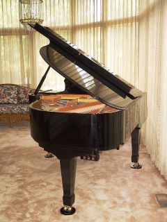 Beautiful Estonia Parlor Grand Piano Model 190 Ebony Polish Finish
