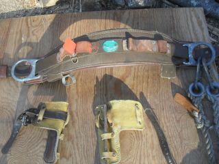 Climbing Spikes and Belt for Tree Climbing Tree Surgery