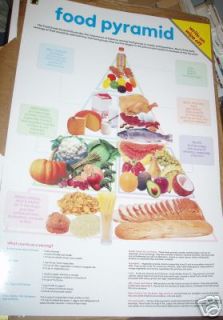 New Teacher Resource Food Pyramid Class Poster Health