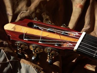 Cocobolo is a sweet yet focusing wood. Ive owned a few guitars with