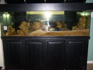 Complete 125 Gal Fish Tank with Bio Ball Filter, Lights, Rocks, and 3