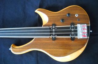  Custom Made Fretless Bass Made in USA