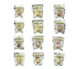 Primula (12) Tea Flowers in Assorted Flavors —