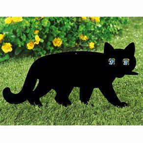 Garden Black Scare Cat Keep Pests Rodents Birds Away Reflective Eyes