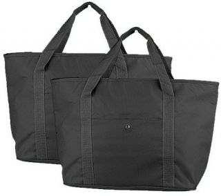 Set of 2 Thermost Insulated Carry All Tote Bags —