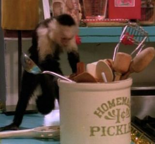 Vintage Pickle Crock 2 Gallon as Seen on Friends TV Show