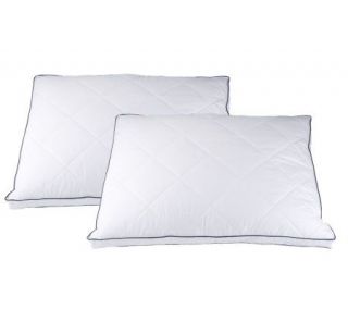 Northern Nights Set of 2 KG Diamond Quilted Eurofeather Gusset Pillows 