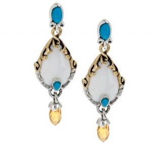 Carolyn Pollack Cascades Sterling/Brass Multi Gemstone Dangle Earrings 