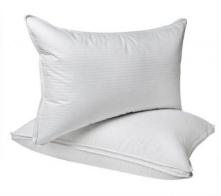 Northern Nights Set of 2 King Gusset Uncrushable Pillows —