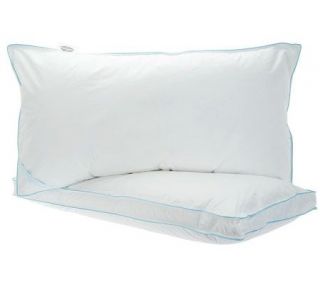 Northern Nights Set of 2 King 550FP Down Top Gusset Pillows — 