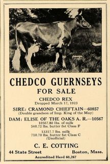 1924 Ad Chedco Guernseys Cotting Cows Butter Milk Farm   ORIGINAL