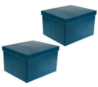 Large Collapsible Faux Leather Storage Boxes by Valerie   H197658