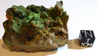  Mineral Conichalcite Cluster Crystal Gold Hill Mine Tooele Utah