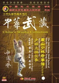 Boxing Skill Book Series of Songshan Taizu Long Fist by Dong Ping