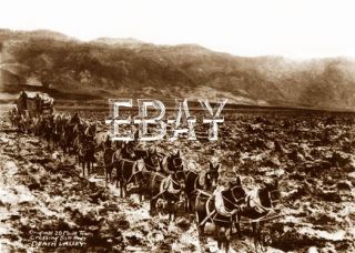  20 Mule Team Borax Wagon Death Valley California CA Photo 7