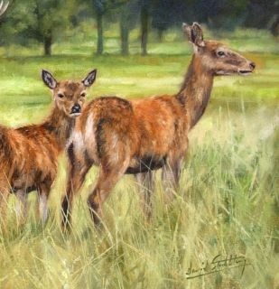 Deer Family Superb New David Stribbling Oil Painting